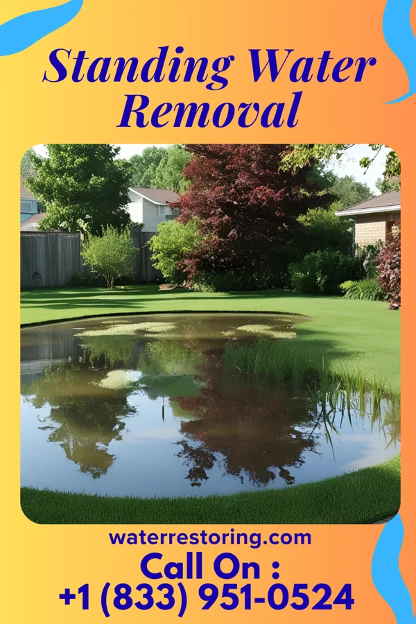 Standing Water Removal in Tunica, MS